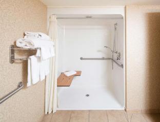 King Room Roll Shower Disability Access